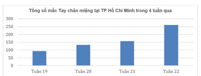 HCM