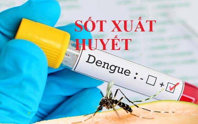 Ảnh minh họa: VTV