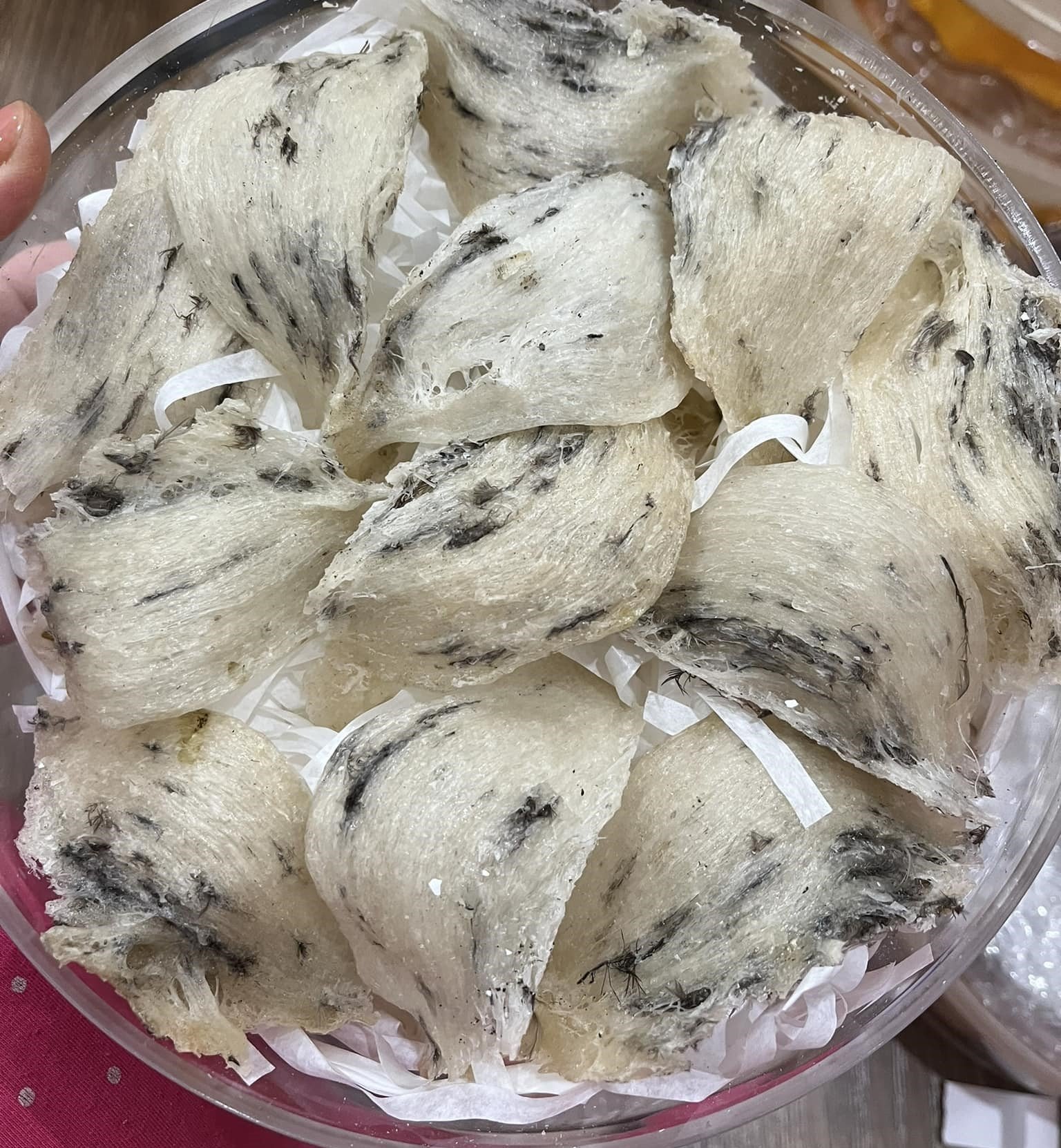 Tổ yến thô. Ảnh: Nhật Anh