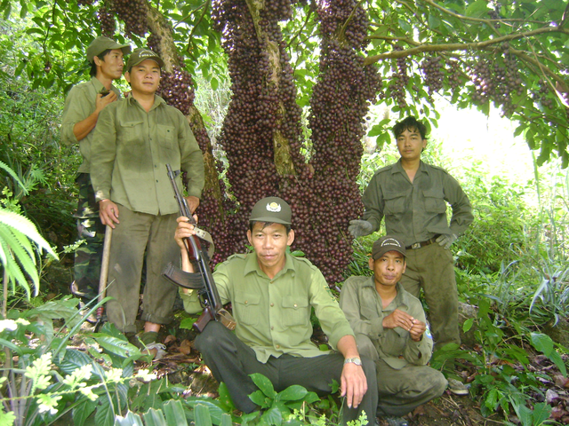 Khám phá động vật quý hiếm trên núi Hòn Bà, Khánh Hòa- Ảnh 1. Khám phá động vật quý hiếm trên núi Hòn Bà, Khánh Hòa- Ảnh 1.