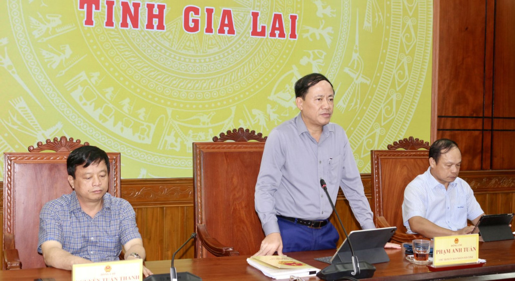 Chủ tịch UBND tỉnh Gia Lai Phạm Anh Tuấn phát biểu chỉ đạo