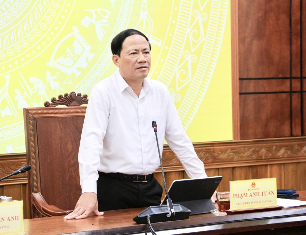 Chủ tịch UBND tỉnh Phạm Anh Tuấn phát biểu kết luận