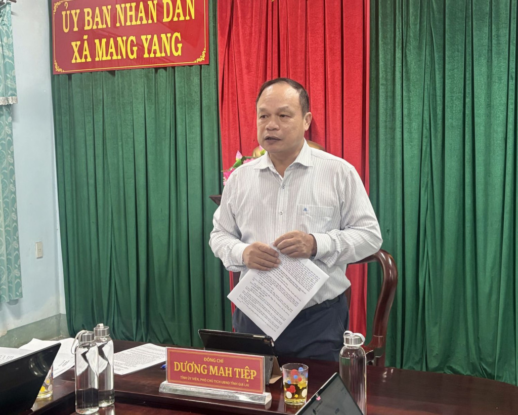 Phó Chủ tịch UBND tỉnh Gia Lai Dương Mah Tiệp phát biểu tại buổi làm việc