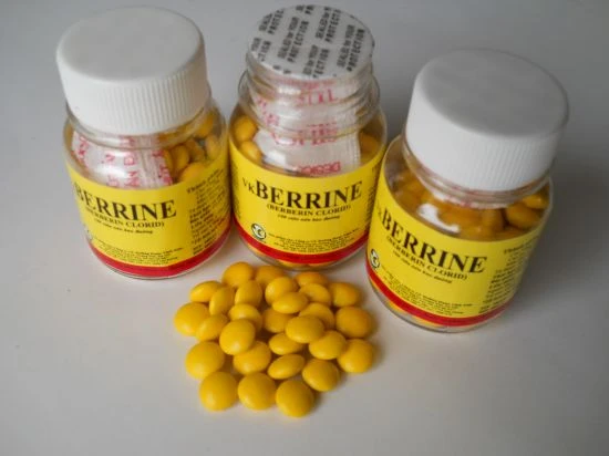 Berberin lâu nay được biết đến như thuốc trị rối loạn tiêu hóa