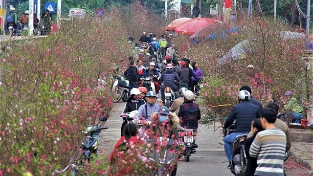 3 đợt không khí lạnh dồn dập nhưng Tết Nguyên đán ở miền Bắc vẫn nắng ấm, trời đẹp