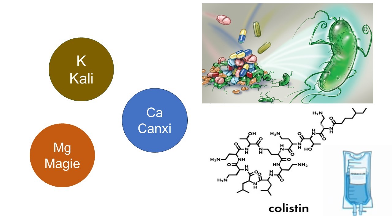 1-khang-sinh-colistin-duong-tinh-mach.jpg