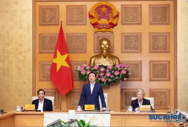 Phó Thủ tướng Chính phủ Trần Hồng Hà làm việc với Trung ương Hội Giáo dục chăm sóc sức khỏe cộng đồng Việt Nam