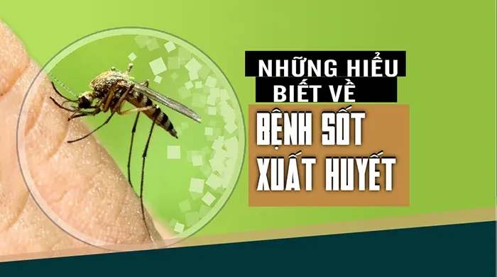 Những hiểu biết về bệnh sốt xuất huyết