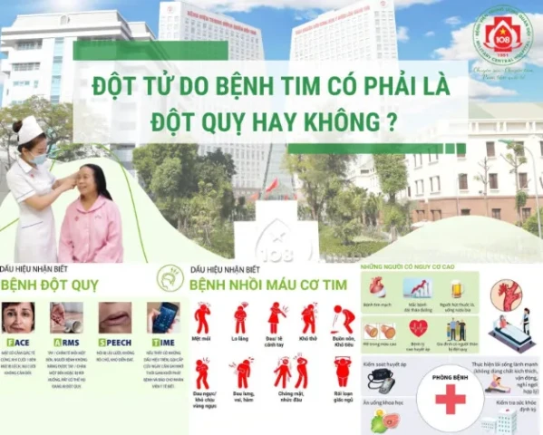 Đột tử do bệnh tim có phải là đột quỵ hay không?
