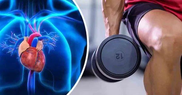 Bài tập nên thực hiện hàng ngày để tăng cường sức khỏe tim mạch