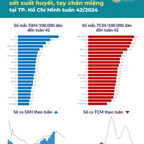 TP. Hồ Chí Minh: Số ca mắc sởi, tay chân miệng, sốt xuất huyết đều tăng