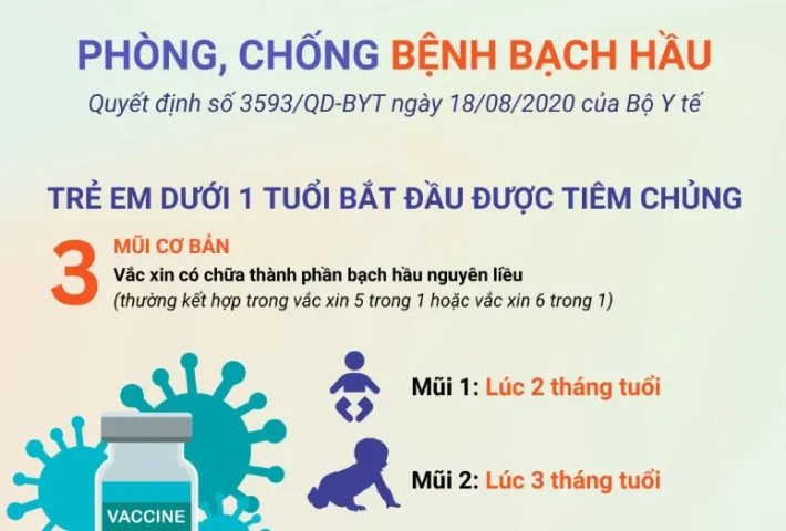 Infographic: Phòng chống bệnh bạch hầu