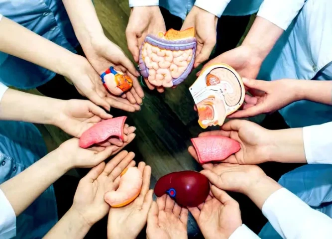 Nhân lên nghĩa cử cao đẹp hiến tạng cứu người