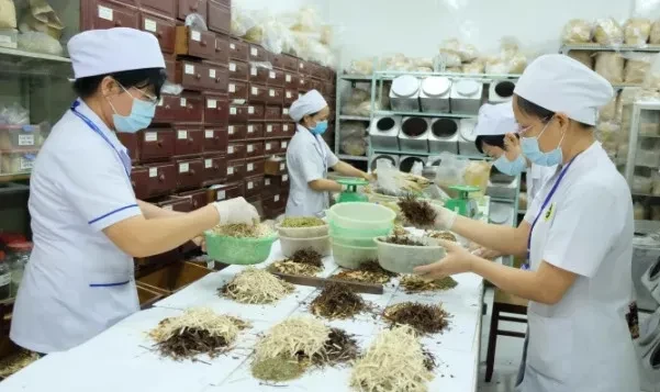 Hà Nội đẩy mạnh phát triển y, dược cổ truyền năm 2024