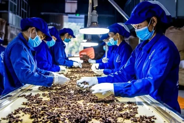 Thủ tướng chỉ đạo tháo gỡ khó khăn cho hoạt động xuất khẩu dược liệu