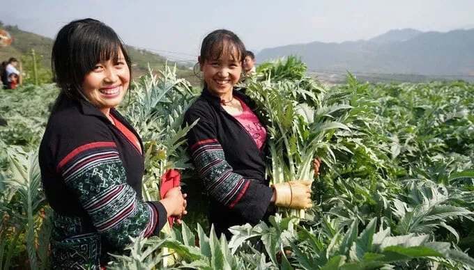 Phát triển mạnh mẽ kinh tế dược liệu ở vùng dân tộc thiểu số