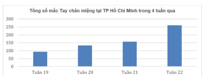TP. HCM: Nguy cơ bùng phát dịch bệnh tay chân miệng và sốt xuất huyết