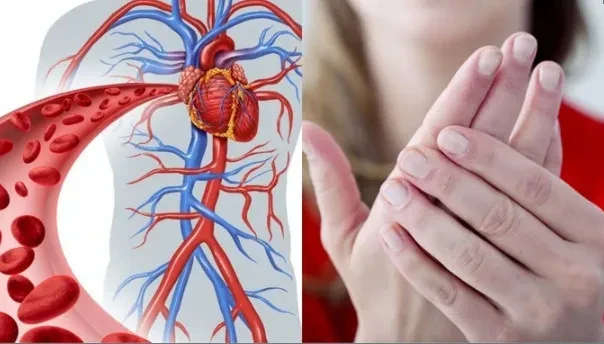 5 dấu hiệu cảnh báo lưu thông máu kém