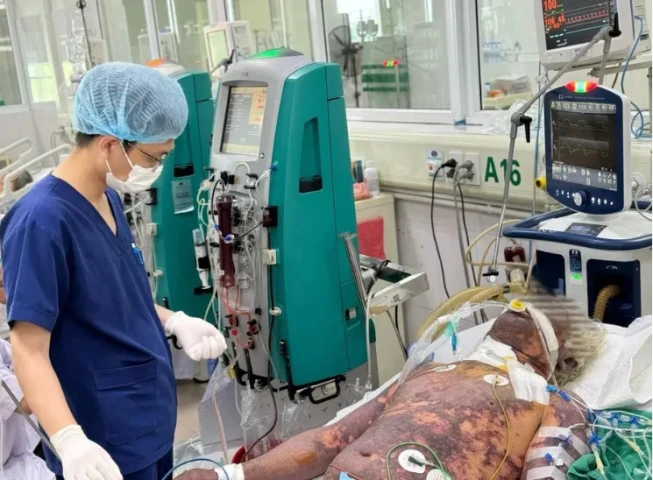 Hành nghề giết mổ lợn, bệnh nhân 57 tuổi nguy kịch do mắc liên cầu lợn