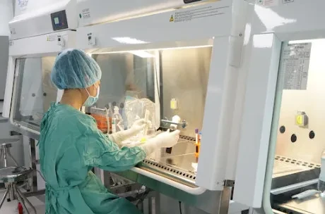 Tế bào gốc có an toàn mang lại sức khỏe sắc đẹp kì diệu?