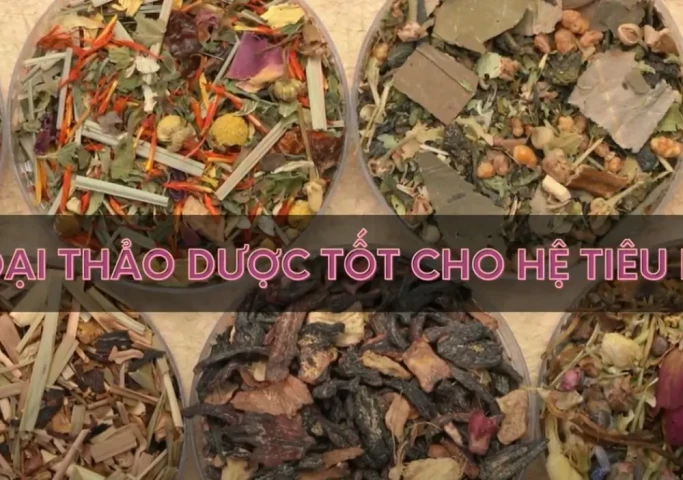 7 loại thảo dược tốt cho hệ tiêu hóa