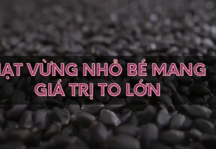 Hạt vừng nhỏ bé mang giá trị to lớn