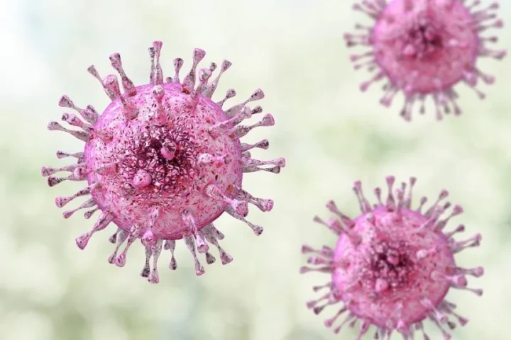 Nhiễm Cytomegalovirus (CMV) sau ghép thận