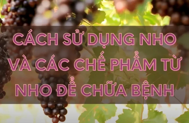 Những tác dụng chữa bệnh tuyệt vời từ quả Nho