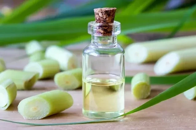 6 loại kem dưỡng ẩm cơ thể tự chế