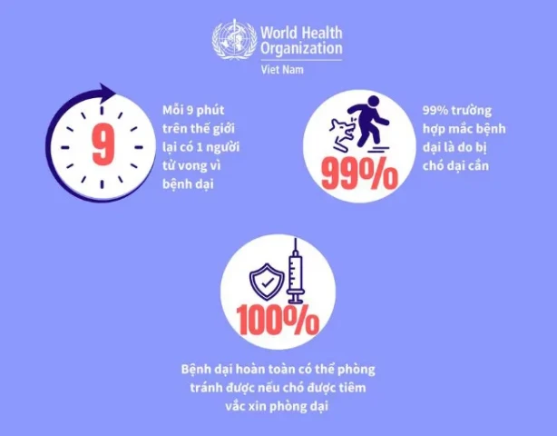 WHO khuyến cáo: Hãy tiêm phòng dại định kỳ cho chó mèo của bạn mỗi năm 1 lần