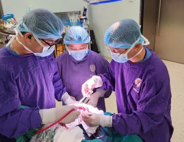 Cảnh báo nguy cơ tổn thương phình động mạch não sau chấn thương