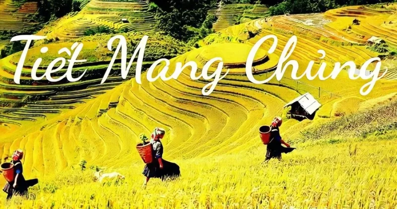 Ẩm thực trong tiết mang chủng