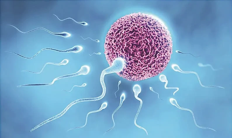 Xét nghiệm đứt gãy DNA tinh trùng: Một tiến bộ mới trong chẩn đoán vô sinh nam