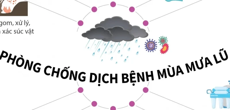 Infographic: Khuyến cáo về phòng, chống dịch bệnh mùa bão, lụt và xử lý nước sinh hoạt, vệ sinh môi trường sau bão lụt
