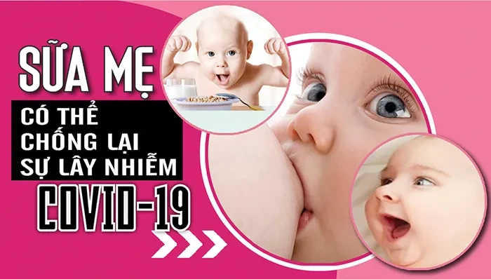 Sữa mẹ có thể chống lại sự lây nhiễm COVID-19