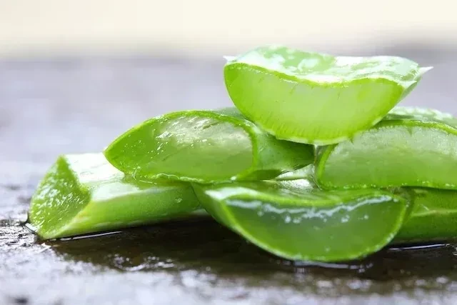 7 lợi ích của nha đam dành cho tóc