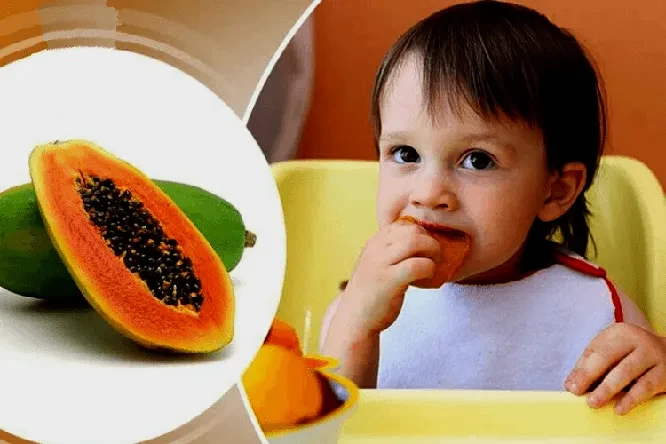 Bài thuốc từ quả đu đủ