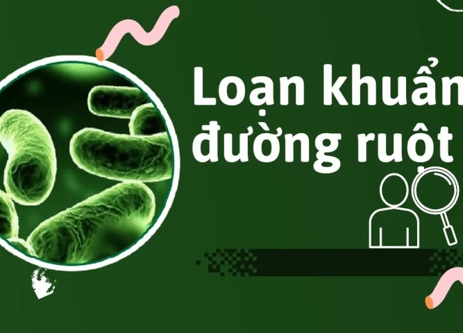 Loạn khuẩn đường ruột