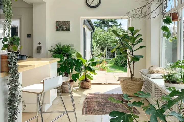 Trồng cây xanh trong phòng giúp khỏe mạnh và may mắn