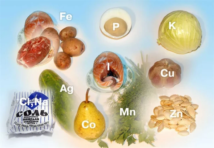 Chức năng và chủng loại muối khoáng