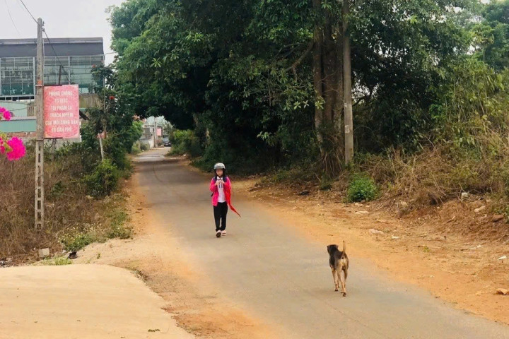 Gia Lai: Bé 5 tuổi tử vong do bệnh dại, 10 người bị phơi nhiễm