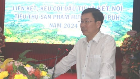 Huyện Chư Puh (Gia Lai):  Phối hợp Hiệp hội Trang trại và Doanh nghiệp Nông nghiệp Việt Nam Tổ chức kết nối hợp tác đầu tư và xúc tiến thương mại với các Doanh nghiệp năm 2024