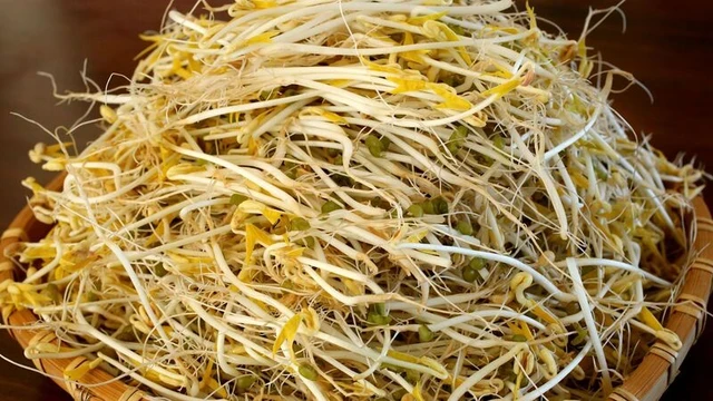 Nguy hại từ hóa chất dùng trong ngâm ủ giá đỗ