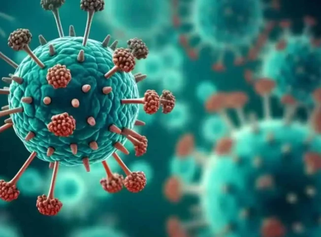 Sở Y tế TP Hồ Chí Minh: HMPV không phải là virus mới, từng được phát hiện trong các năm 2023 và 2024