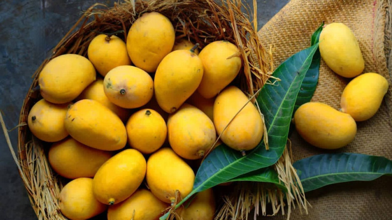 Ăn xoài có làm bạn tăng cân không?