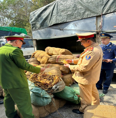 Cao Bằng tạm giữ gần 3.000 kg lá cây thuốc lá sấy khô chưa tách cọng không rõ nguồn gốc, xuất xứ