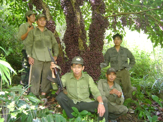 Khám phá động vật quý hiếm trên núi Hòn Bà, Khánh Hòa