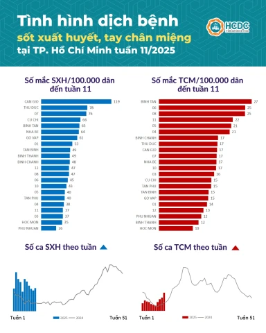 TP. Hồ Chí Minh: Ghi nhận 372 trường hợp mắc bệnh sốt xuất huyết trong tuần qua