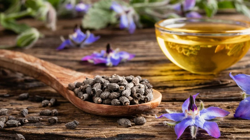 Lợi ích của dầu hạt lưu ly đối với làn da