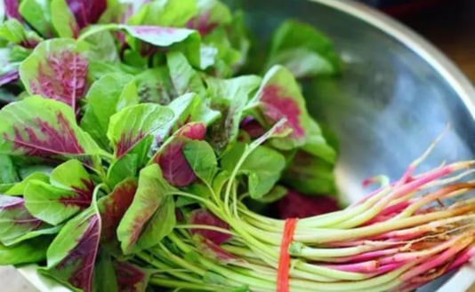 6 lý do nên thường xuyên ăn rau dền